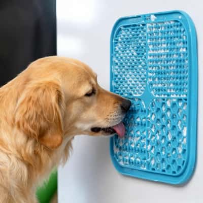 Home & Lifestyle Products