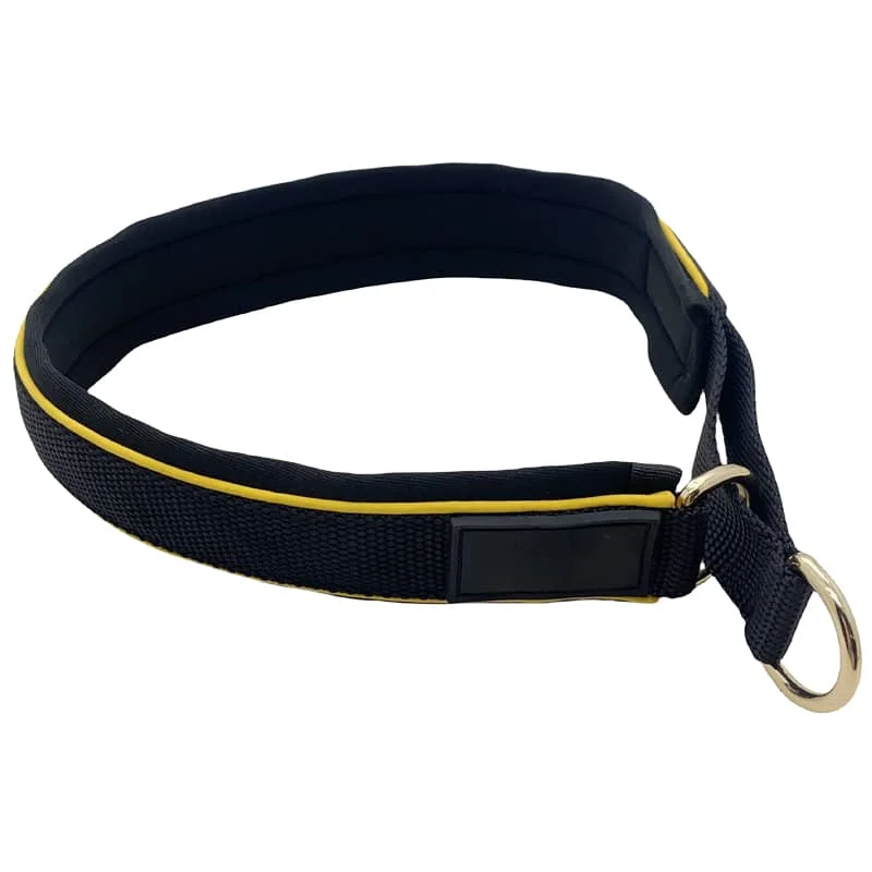 Slip collar for training and walking