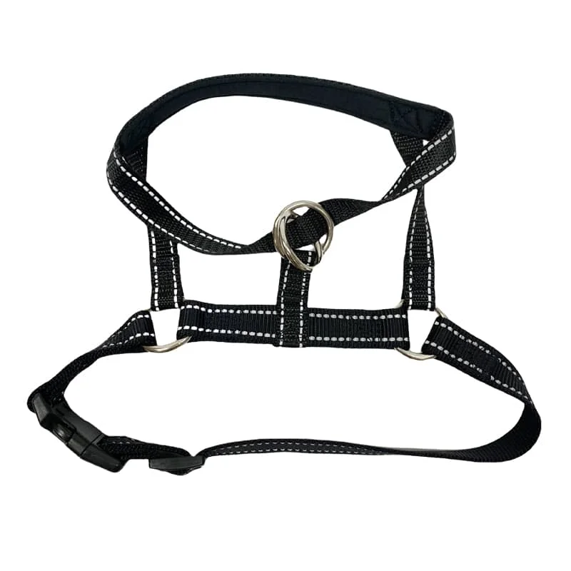 Head collar for gentle dog training and control