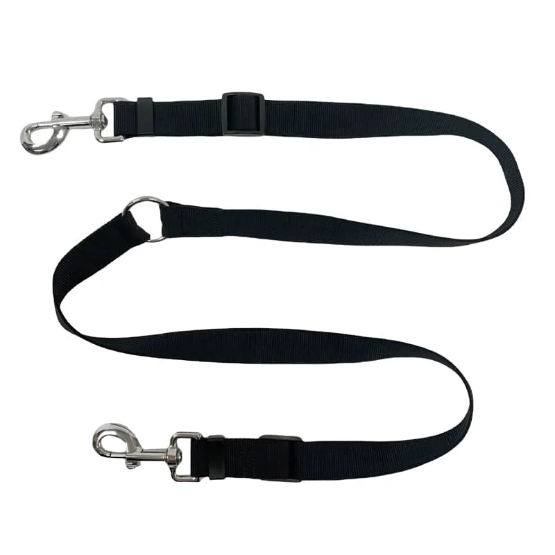 Multi-dog leash