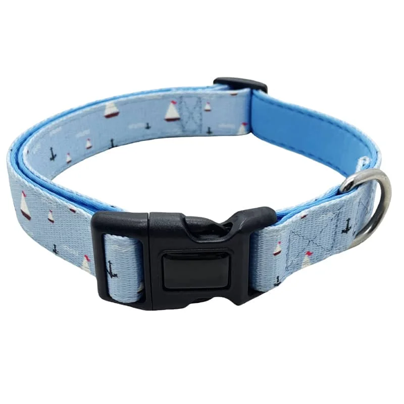 Quick release dog collar with secure buckle system