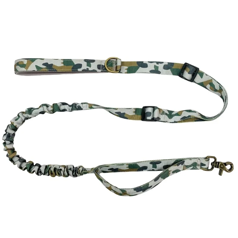 Bungee dog leash