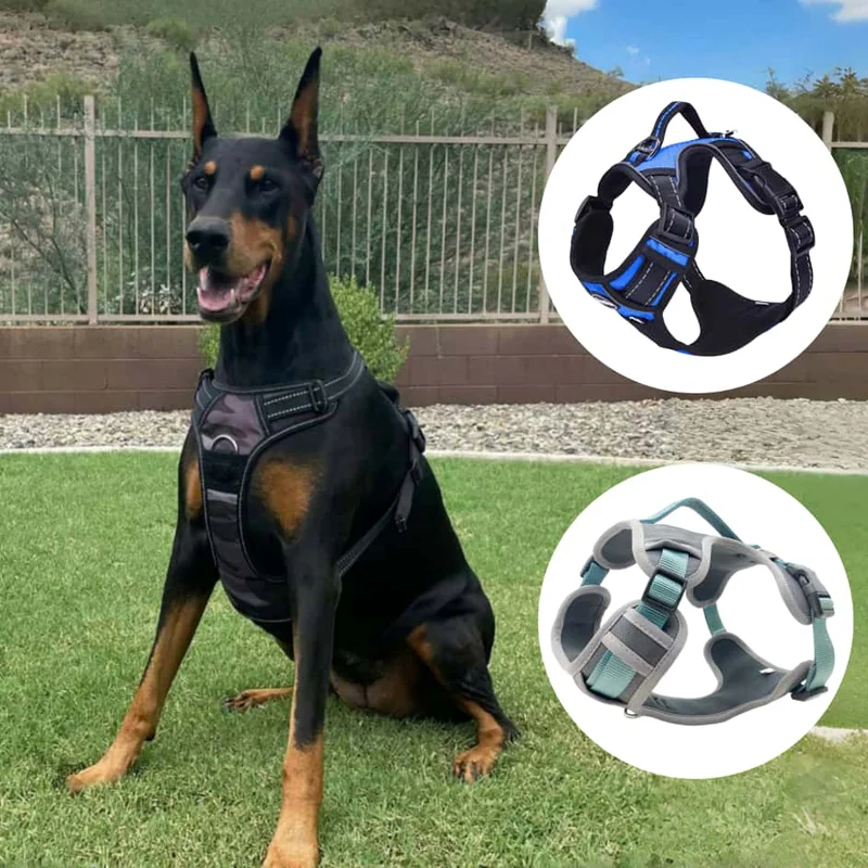 Two-piece Dog Harness