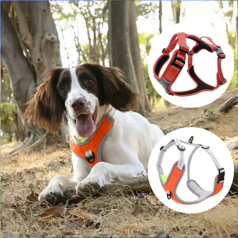 One-piece Dog Harness
