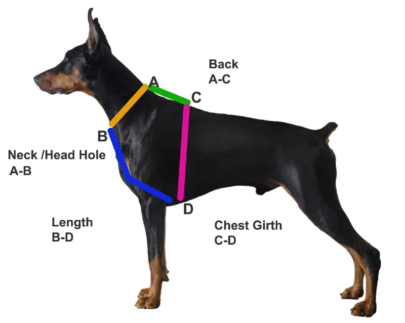 Dog harness sizing guide