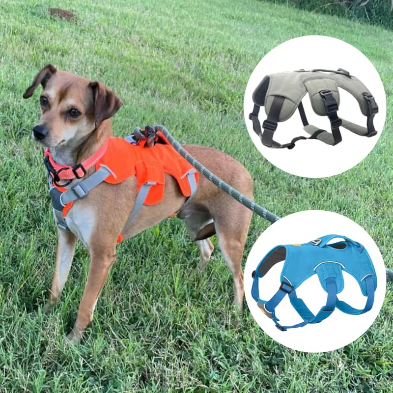 Multi-piece Dog Harness