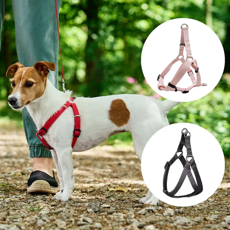 Step-In Dog Harness