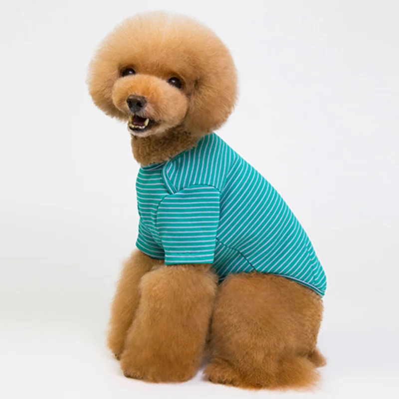 Dog T-shirt
