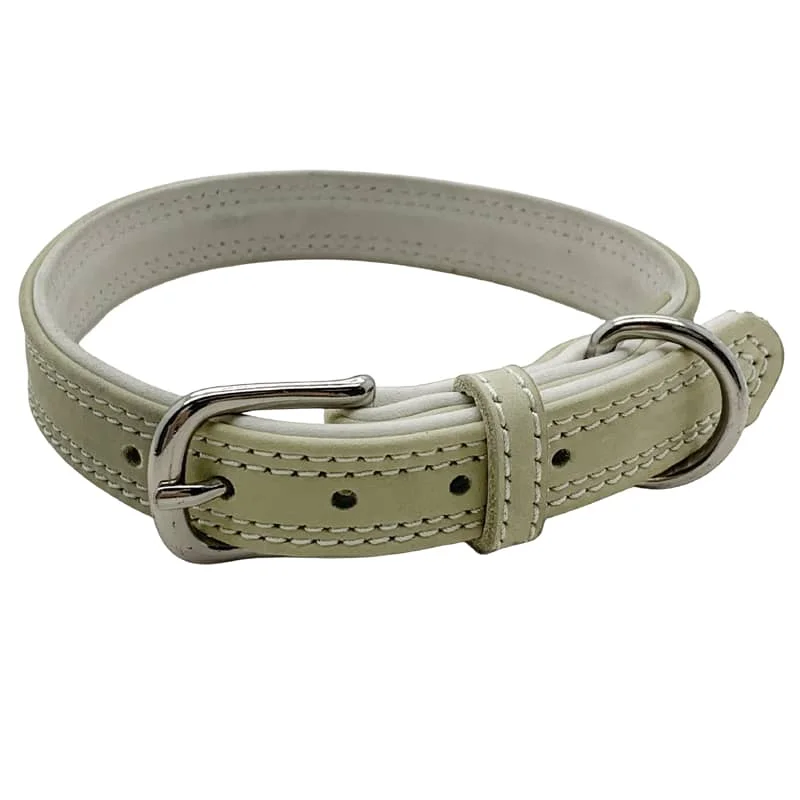 buckle collar for easy on/off
