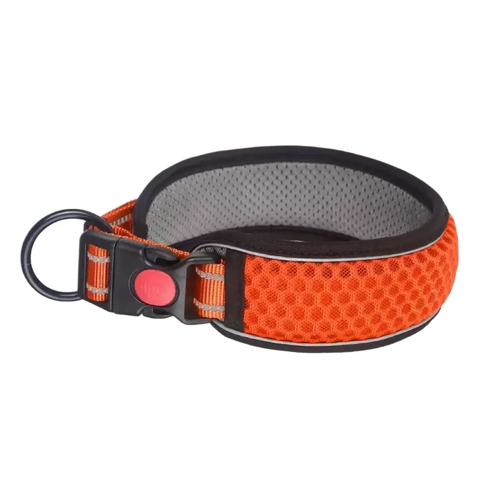 LED safety collar for night visibility