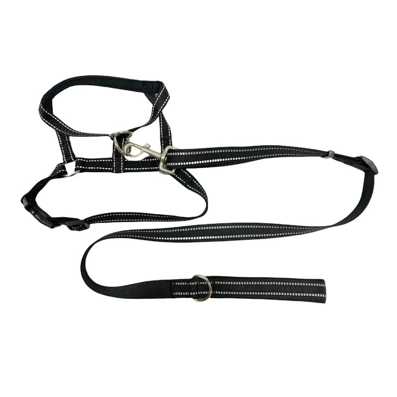 Gentle leader training leash