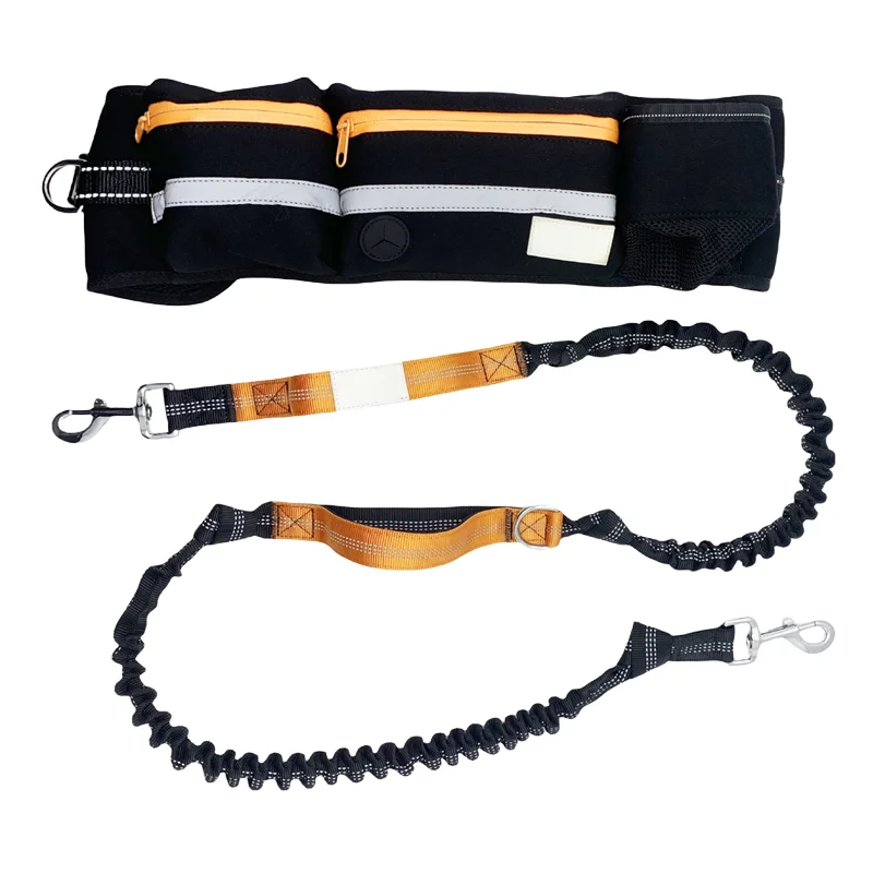 Belt style harness and leash set