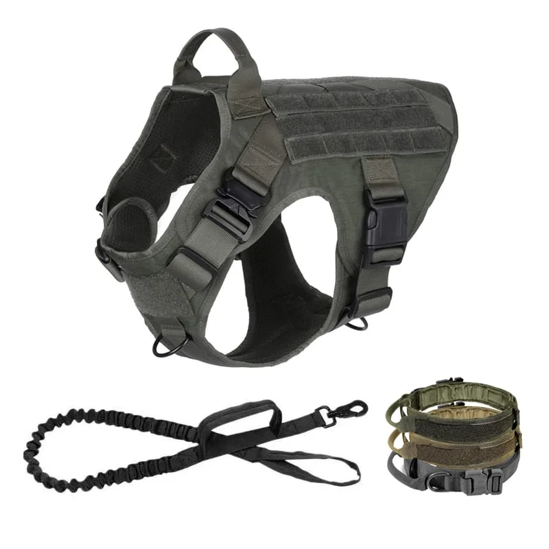 Tactical harness and leash set