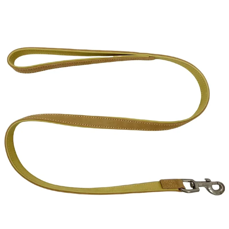 Premium leather dog leash